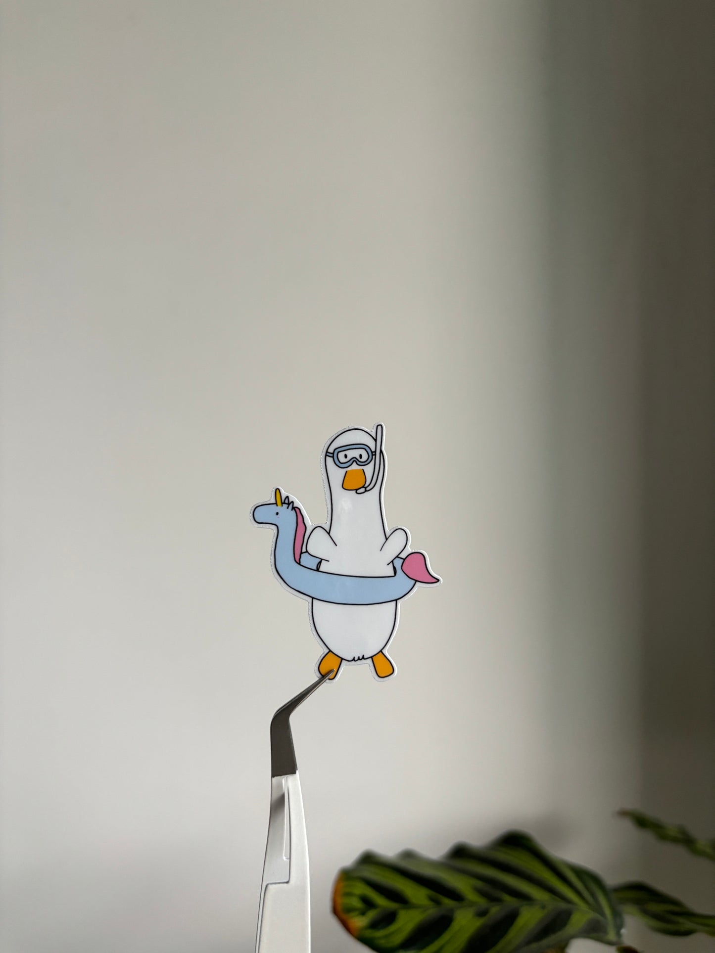 Swimming Duck