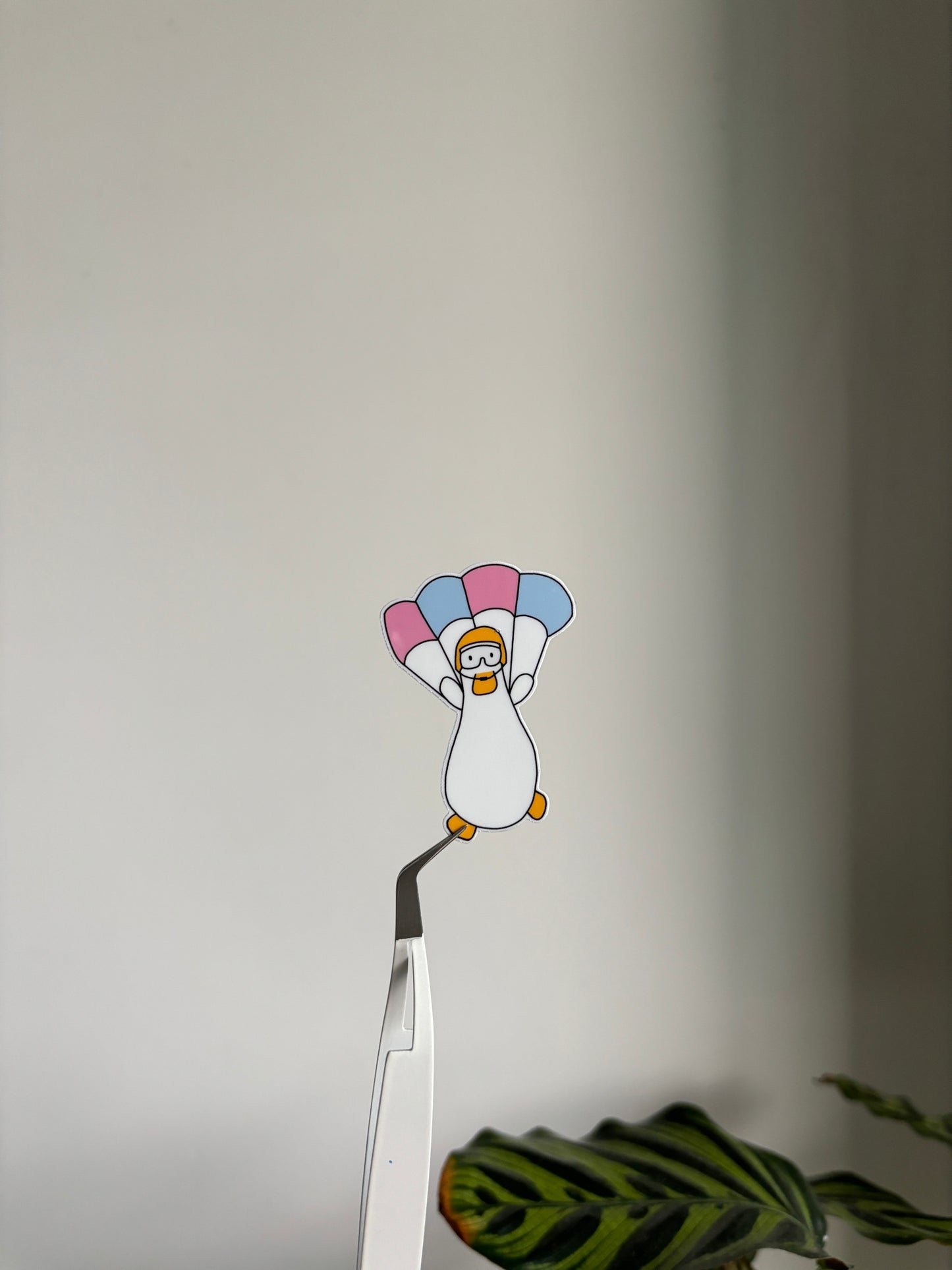 Parachute Duck