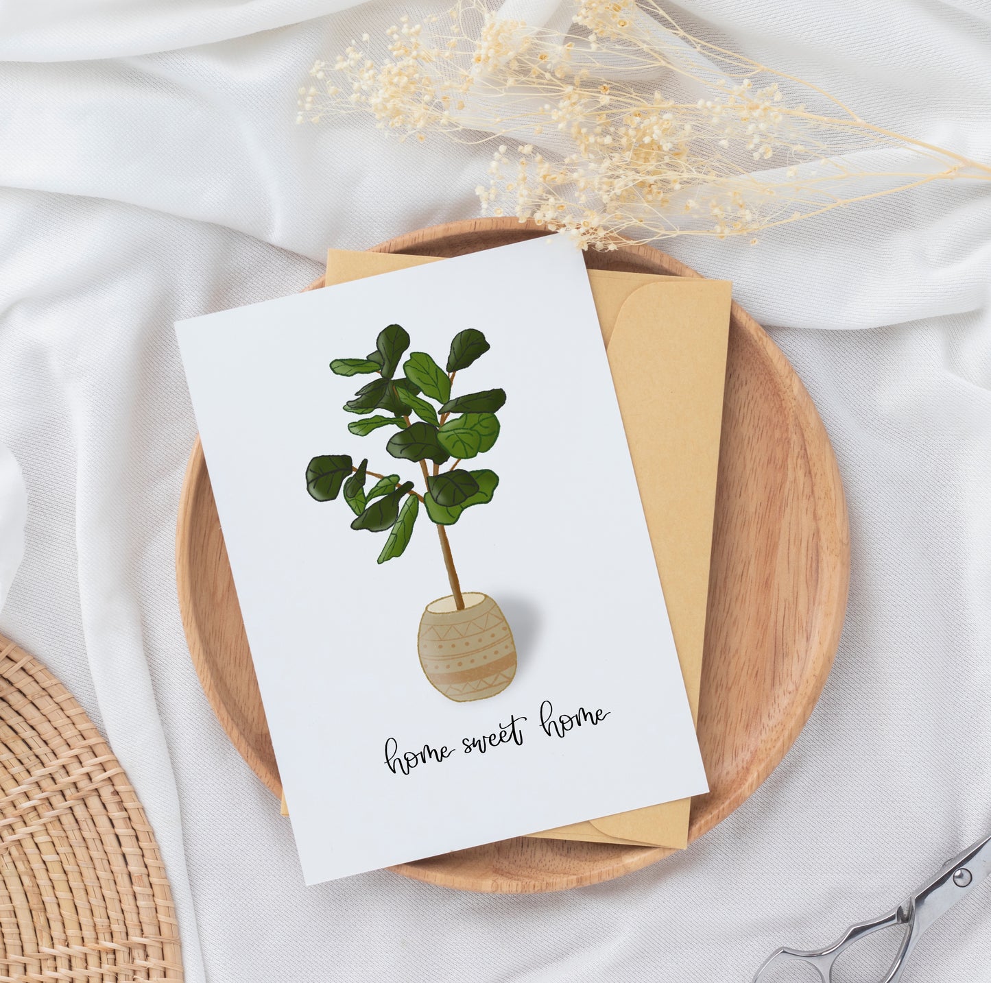 Home Sweet Home Plant