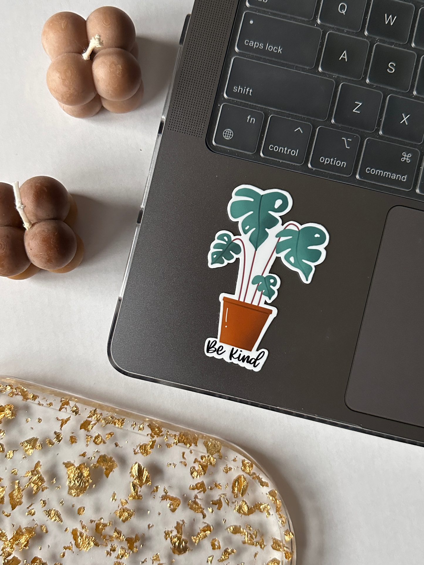 Be Kind Monstera