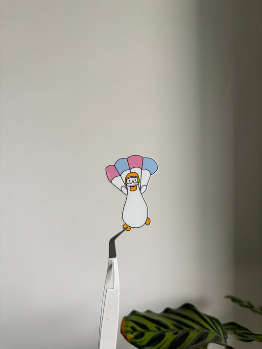 Parachute Duck