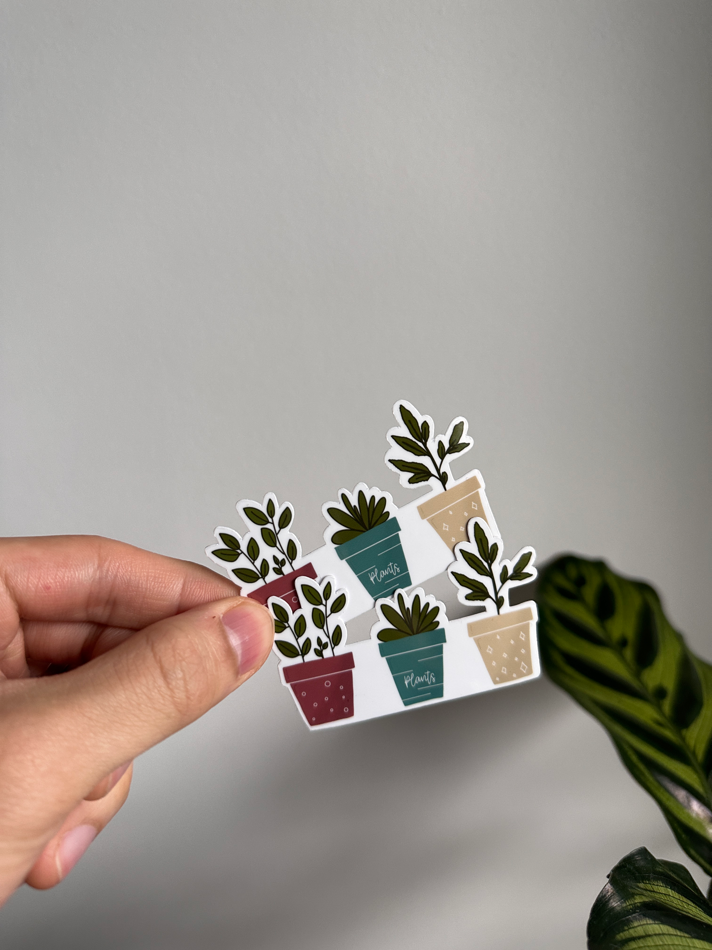 3 Potted Plants