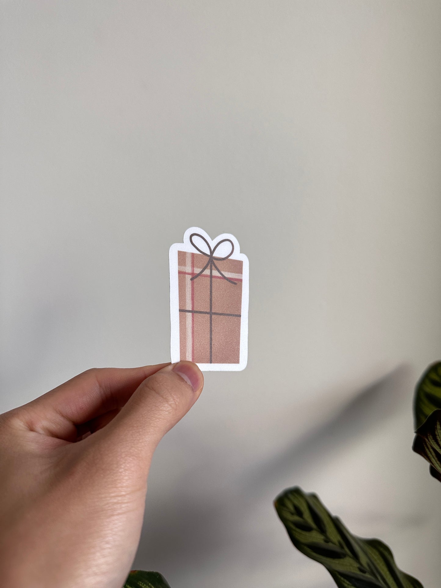 Brown Gift
