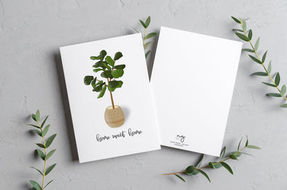 Home Sweet Home Plant