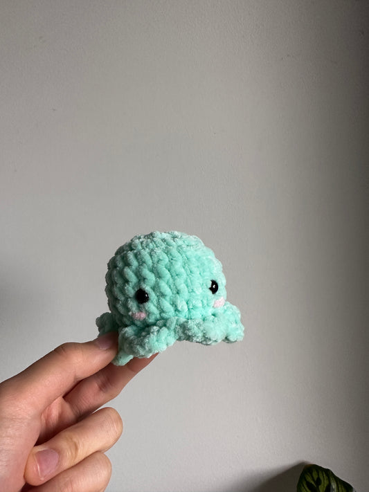 Octopus