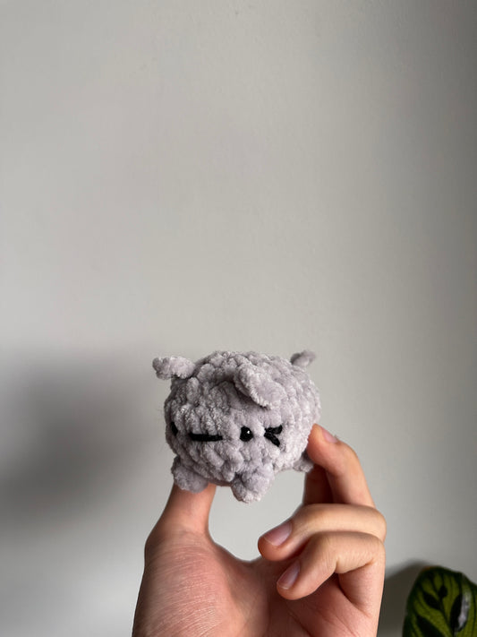 Kitty