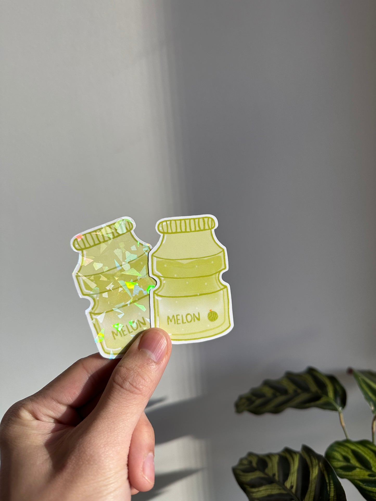 Melon Milk