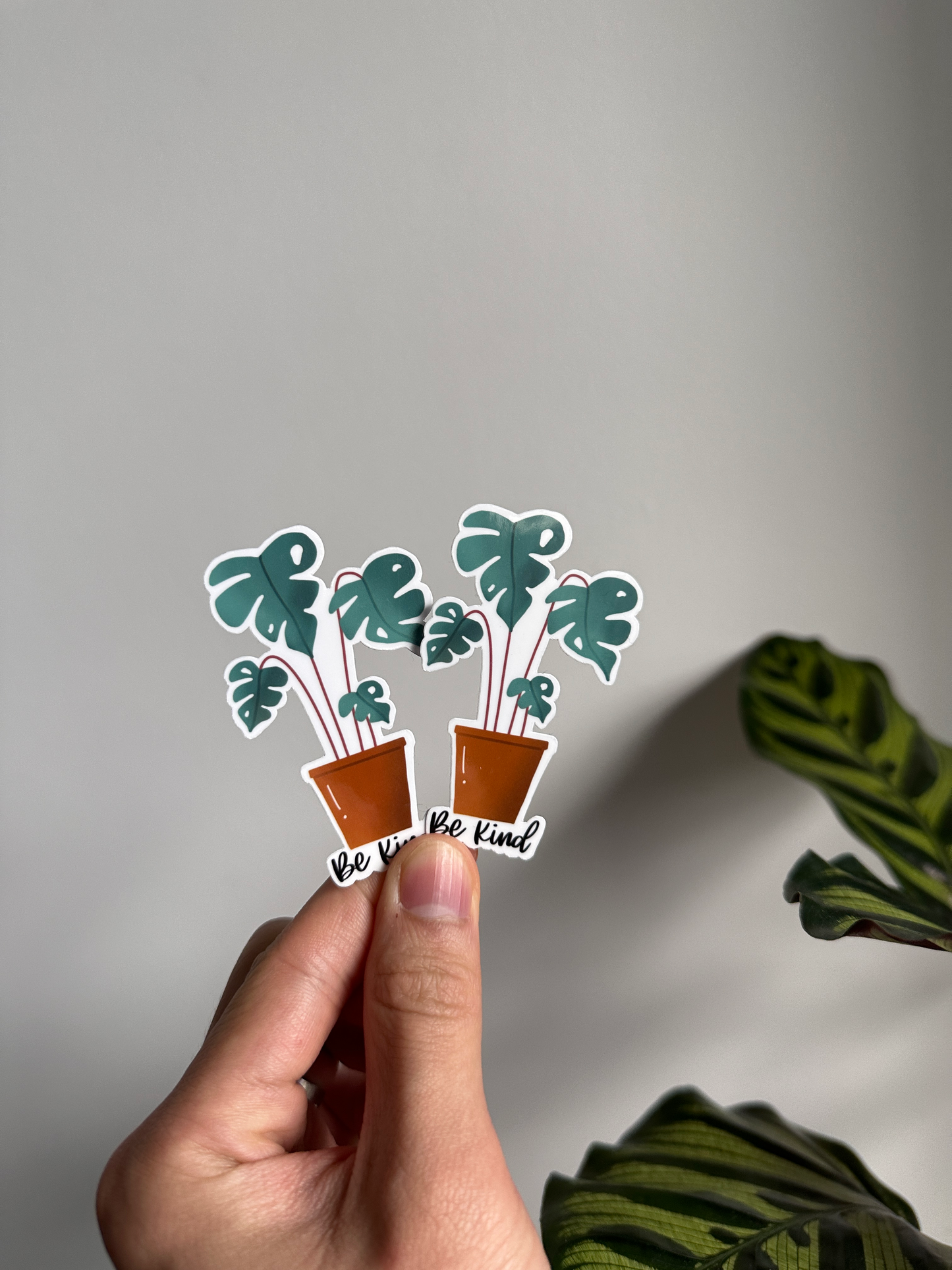 Be Kind Monstera