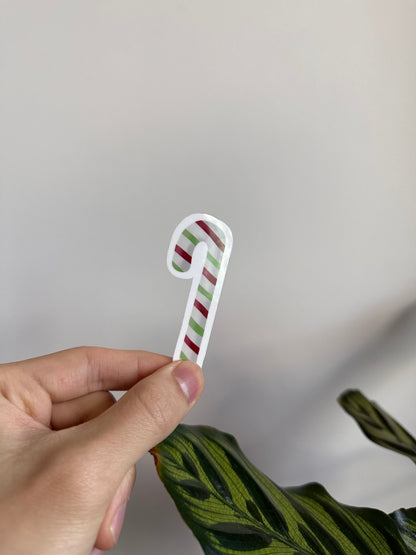Candy Cane Mint